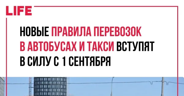Новые правила для автобусов и такси: спасение или головная боль для Ярославля?
